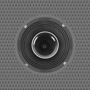 6.5-INCH COAXIAL HORN SPEAKERS - 2Ω